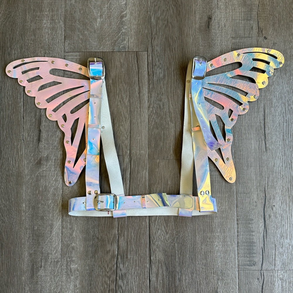 Iridescent holographic wing harness